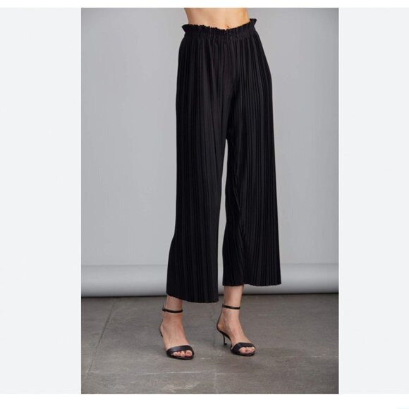 Sundays Rose Pleat Wide Leg Pants Size 2 NWT - Picture 1 of 13